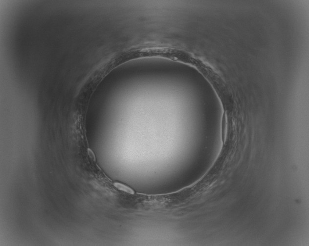 X0000075331351200609081047