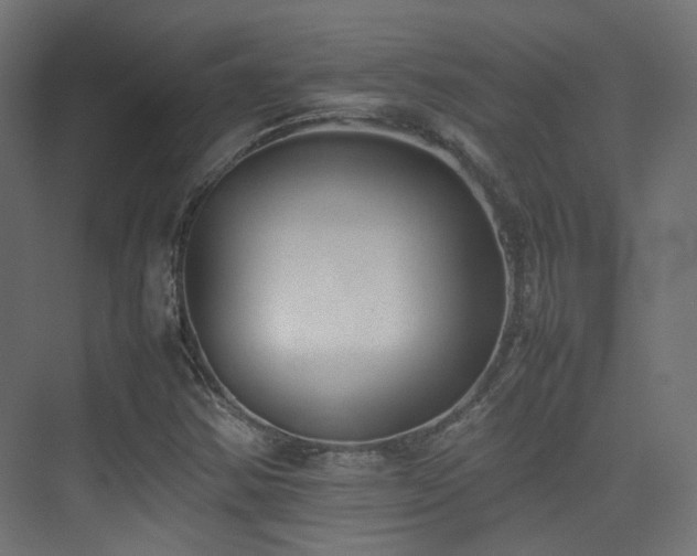 X0000075331354200609081047