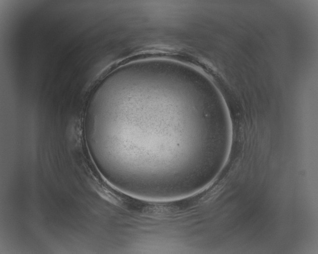 X0000075331355200609081047