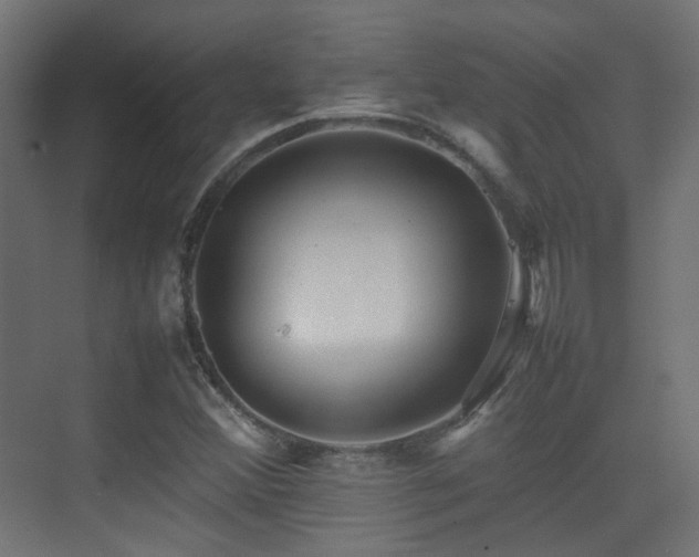 X0000075331356200609081047