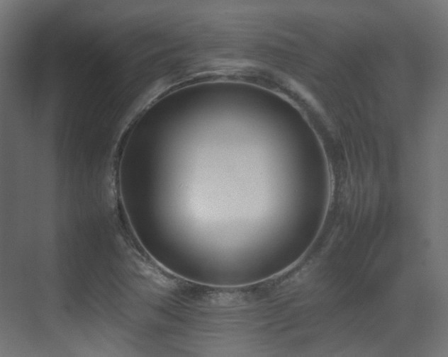 X0000075331362200609081047