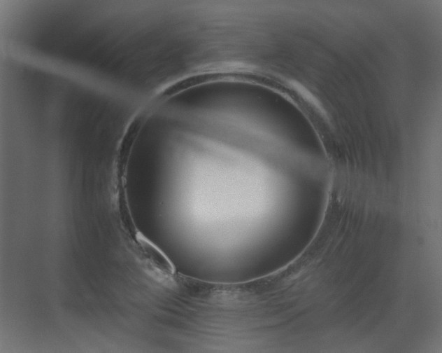 X0000075331364200609081047