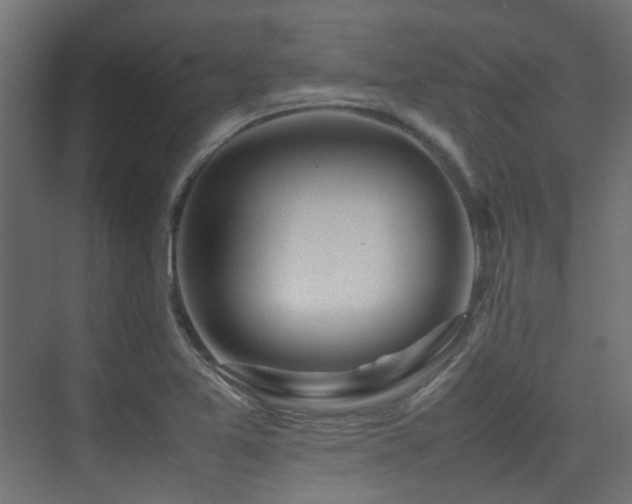 X0000075331365200609081047
