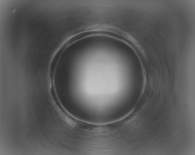 X0000075331368200609081047