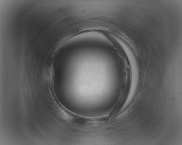 X0000075331377200609081046