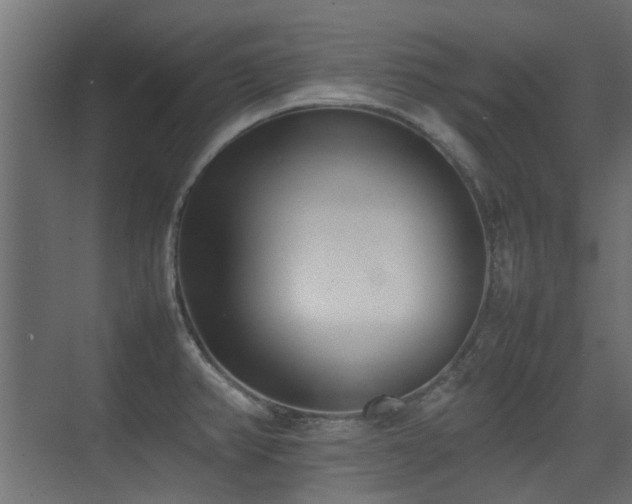 X0000075331382200609081046