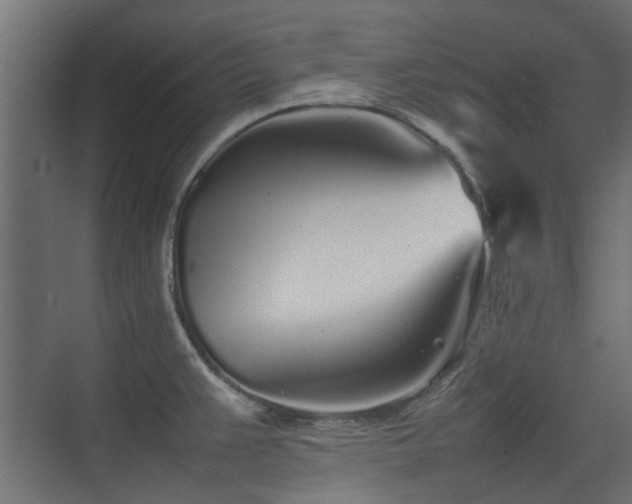 X0000075331383200609081046