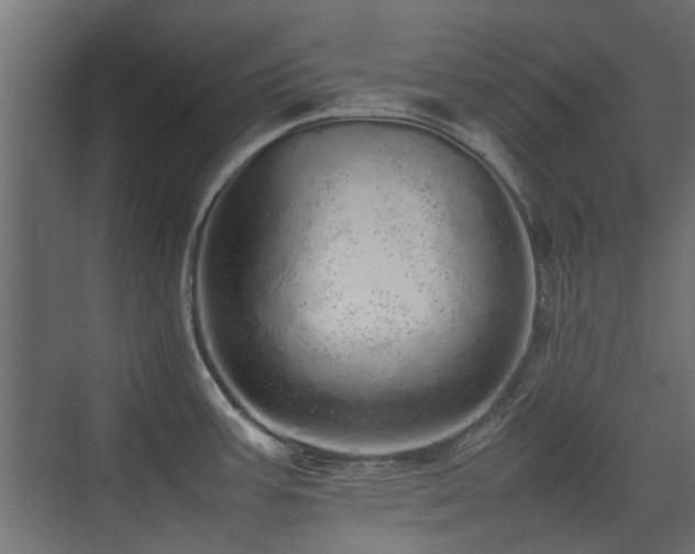 X0000075331387200609081046