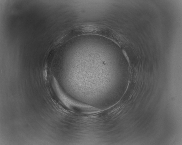 X0000075331394200609081045