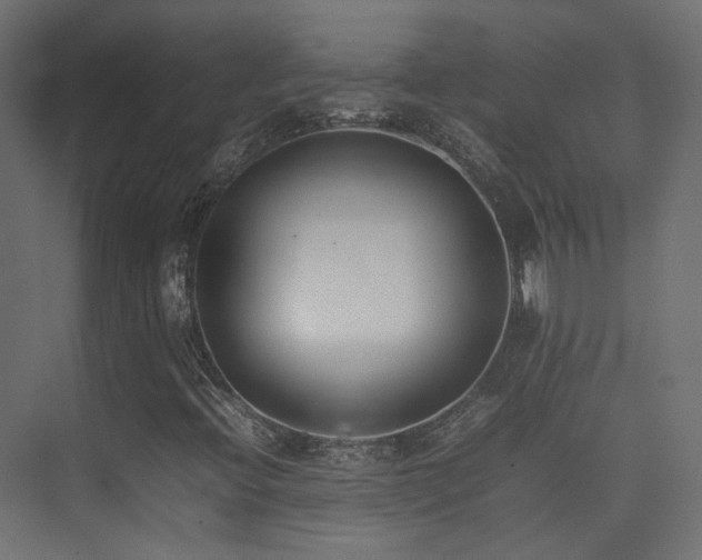 X0000075331396200609081045