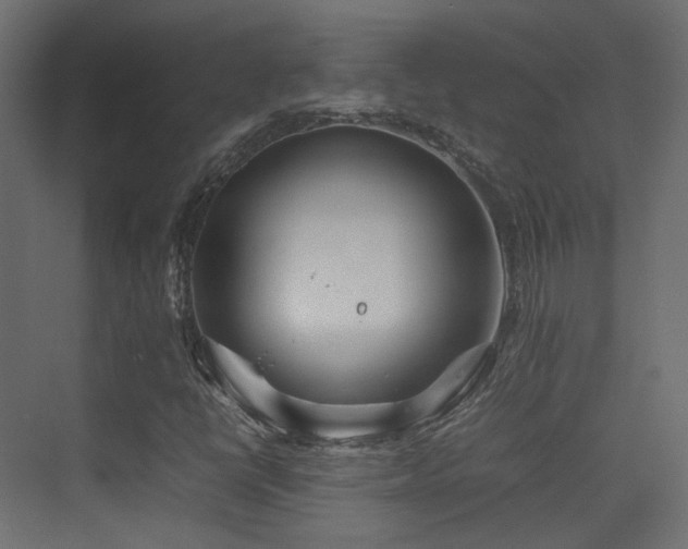 X0000075331398200609081045