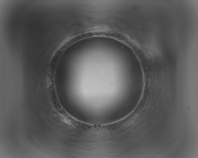 X0000075331400200609081045