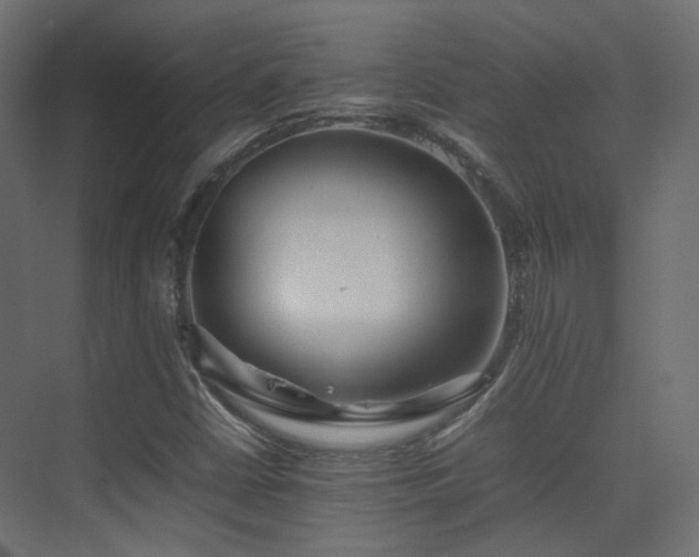X0000075331402200609081045