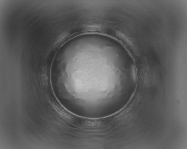 X0000075331403200609081045
