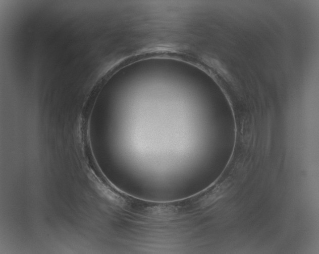 X0000075331404200609081045