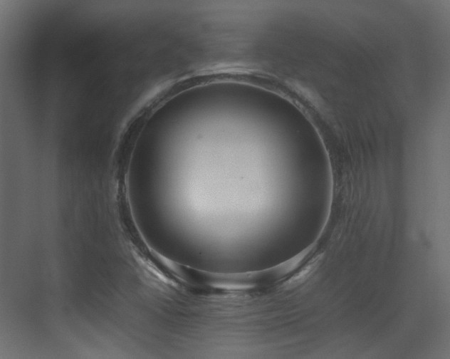X0000075331406200609081046