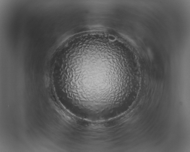 X0000075331407200609081046