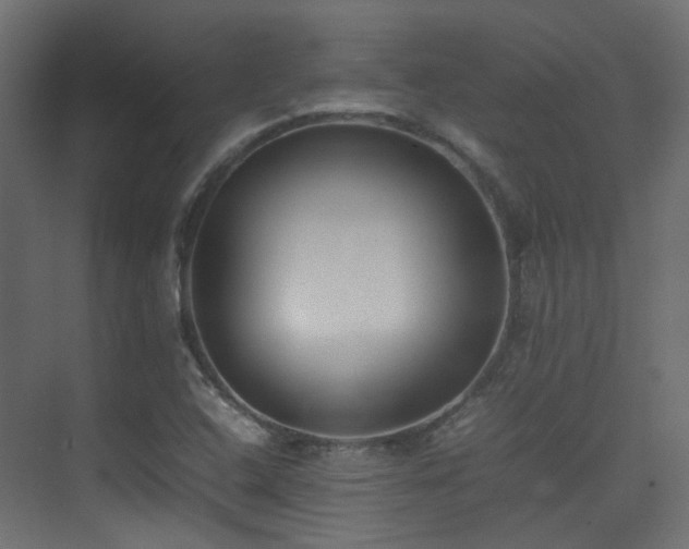 X0000075331408200609081046