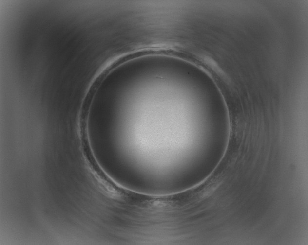 X0000075331412200609081046