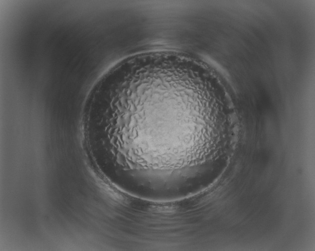 X0000075331415200609081046