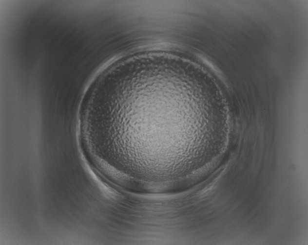 X0000075331418200609081046