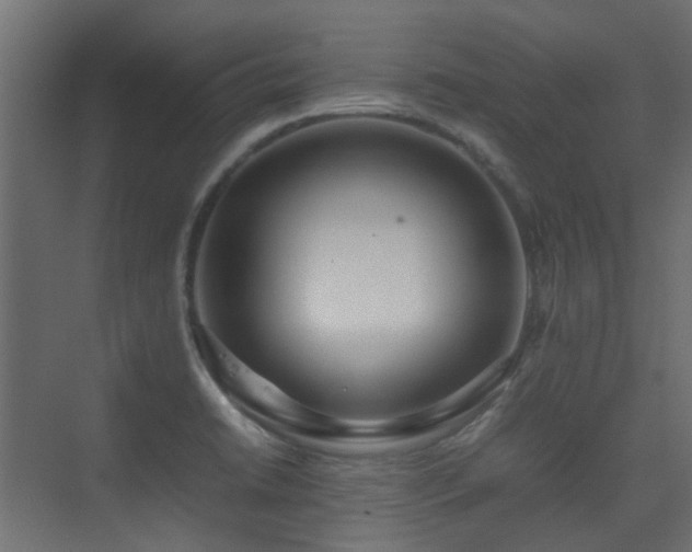 X0000075331422200609081046