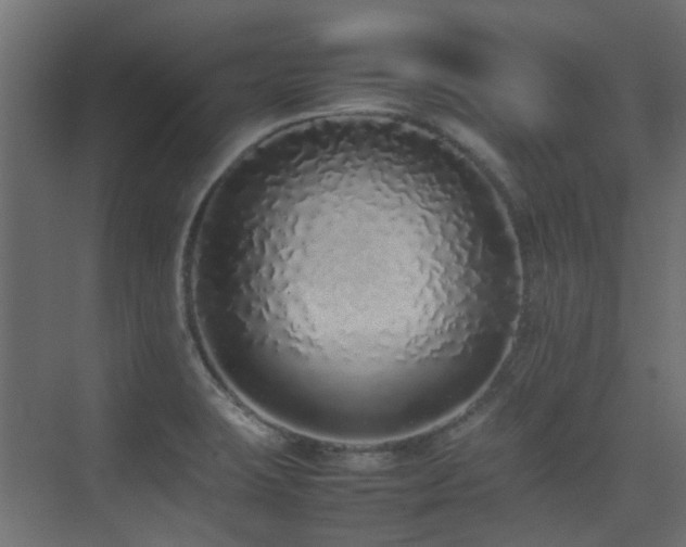 X0000075331423200609081046