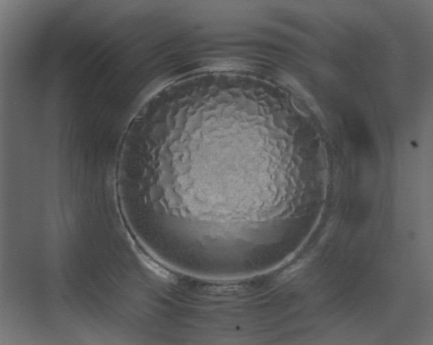 X0000075331425200609081046