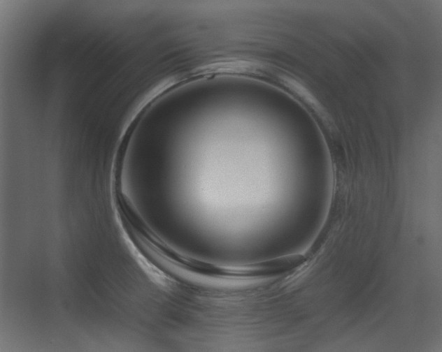 X0000075331426200609081046