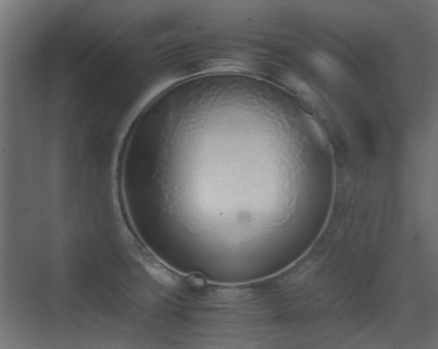X0000075331427200609081046