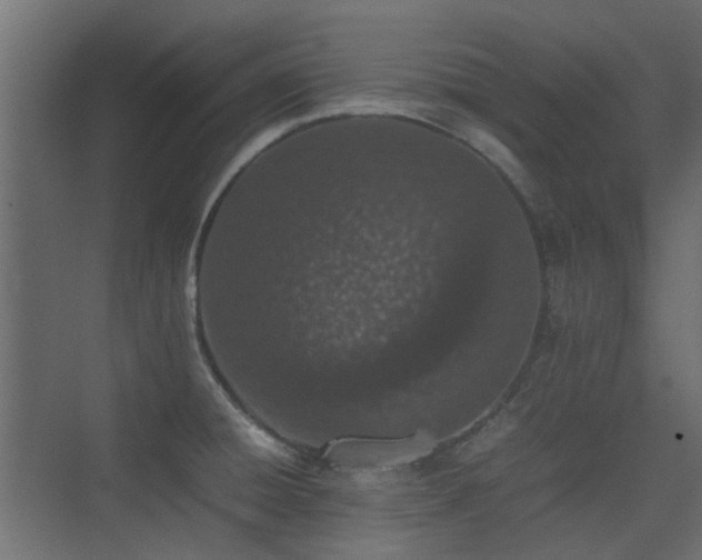 X0000075331428200609081046