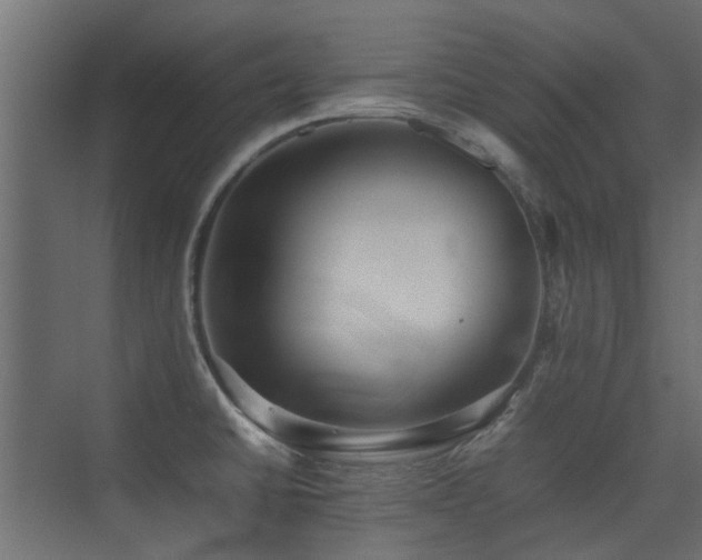 X0000075331430200609081046