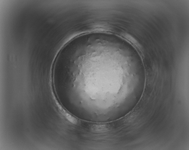 X0000075331431200609081046