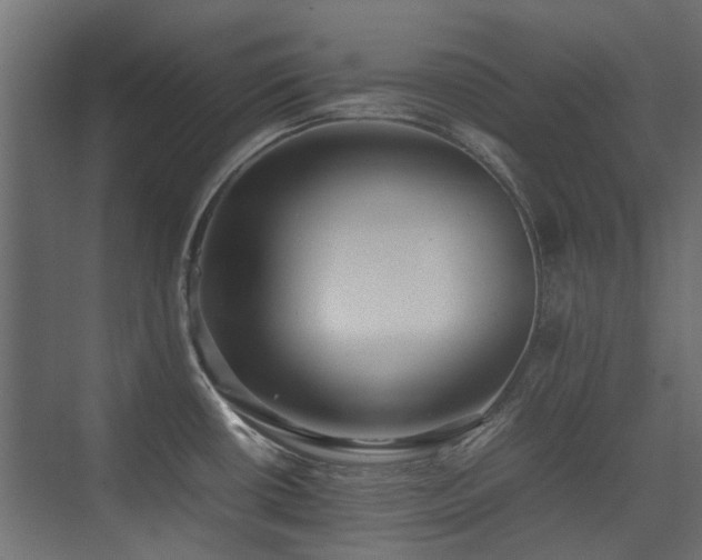 X0000075331434200609081046