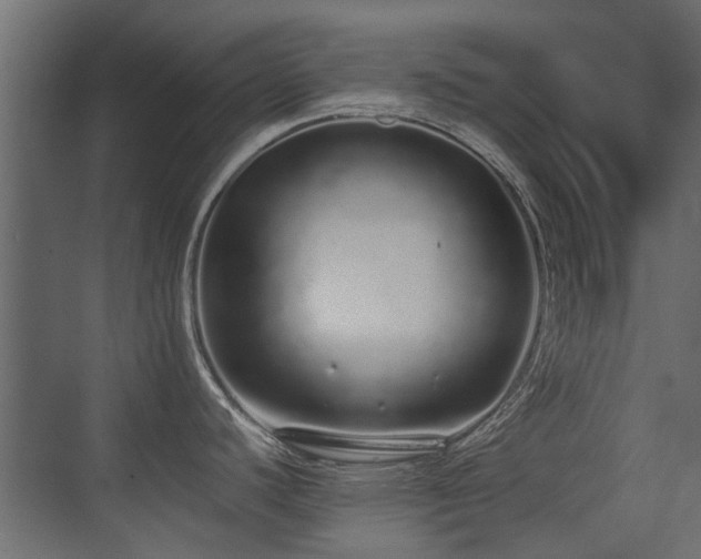 X0000075331440200609081046