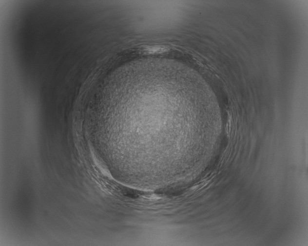 X0000075331441200609081045