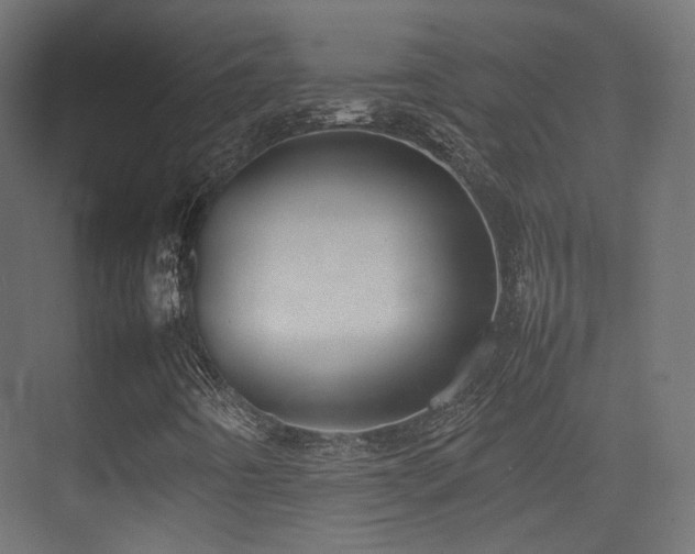 X0000075331442200609081045