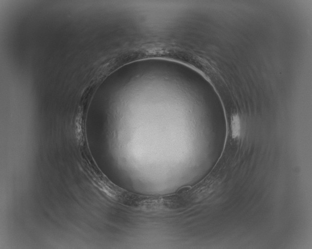 X0000075331444200609081045