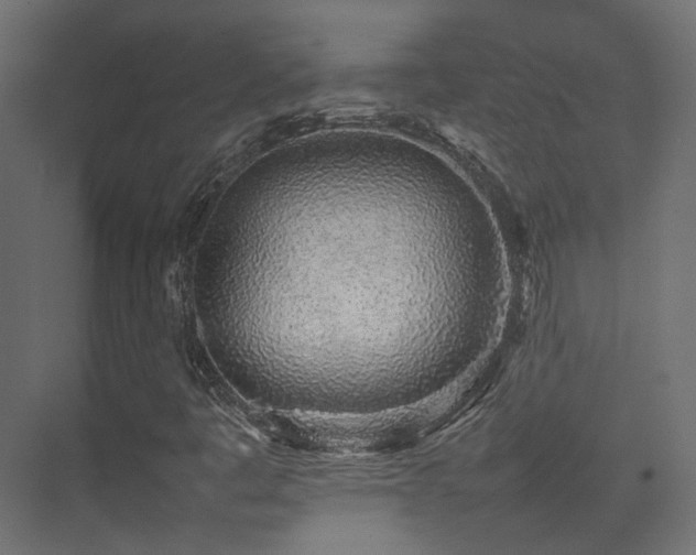 X0000075331445200609081045