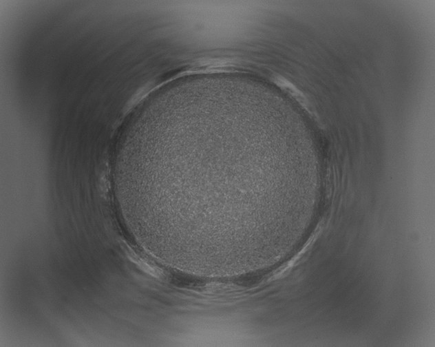X0000075331449200609081045