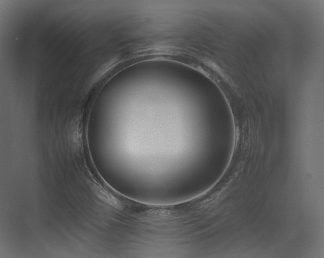 X0000075331450200609081045