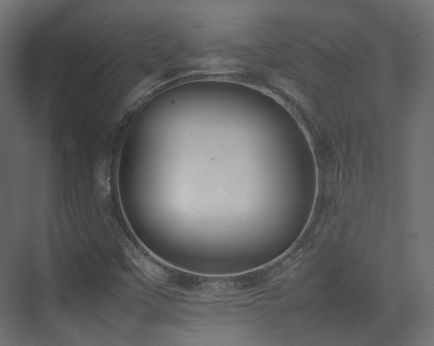 X0000075331451200609081045