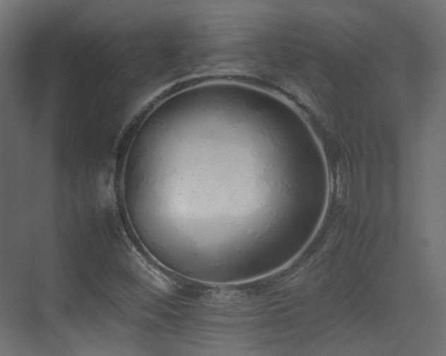 X0000075331452200609081045