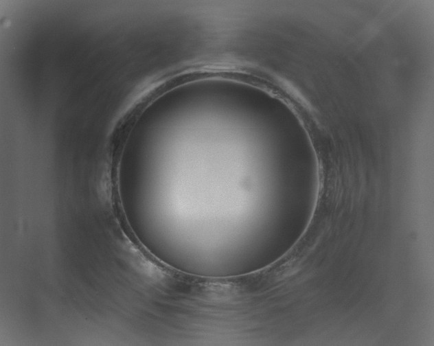 X0000075331456200609081045