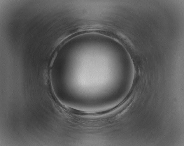 X0000075331457200609081045