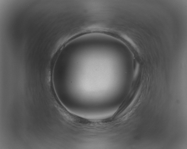 X0000075331461200609081045
