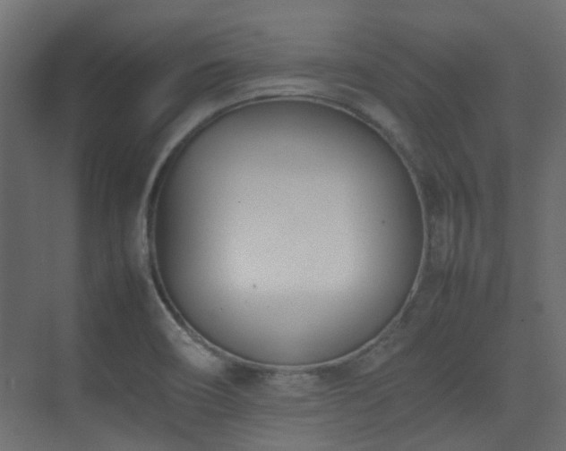 X0000075331466200609081045