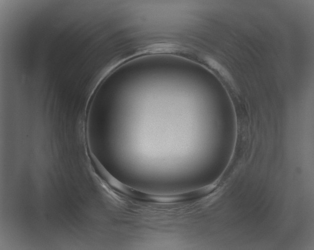 X0000075331473200609081045