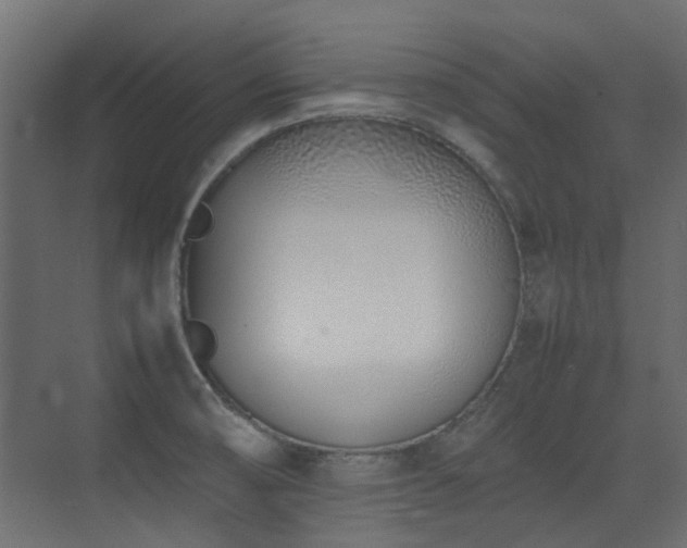 X0000075331474200609081045