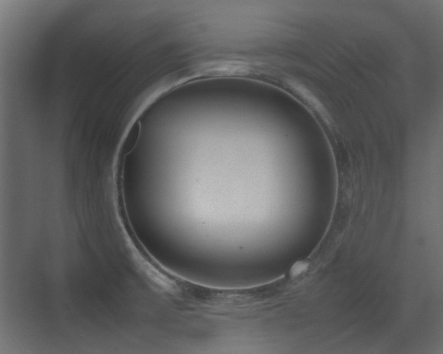 X0000075331475200609081045